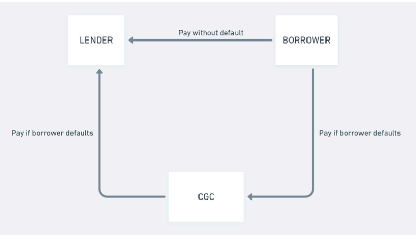 Credit Guarantee Companies Scheme Diagram Regcompass